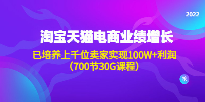淘宝天猫业绩增长课:已培养上千位卖家实现100W+利润(超细视频课程)