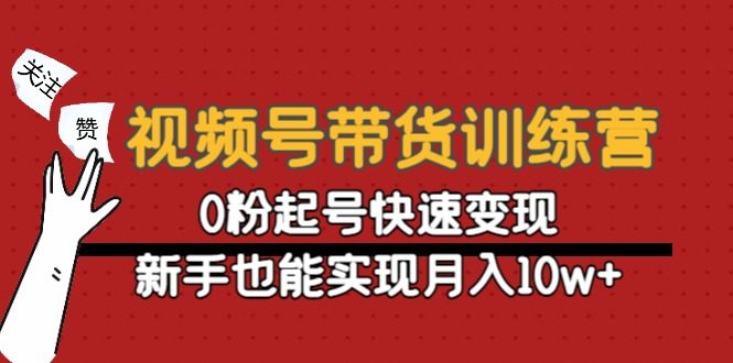 视频号带货教程:0粉起号快速变现,新手也能实现月入10w+