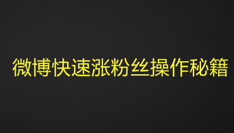 微博快速涨粉丝操作秘籍-欢迎访问本站
