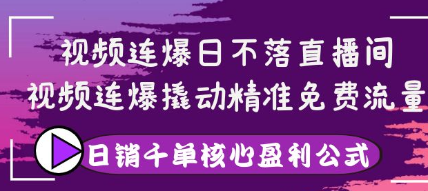 视频连爆撬动精准免费流量，让你卖货日销千单-欢迎访问本站
