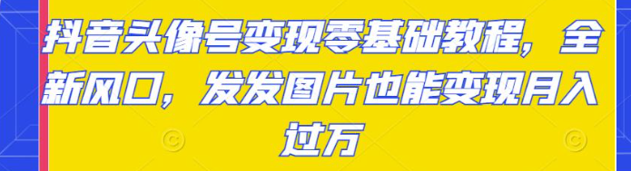 抖音头像号变现项目零基础教程：发发图片也能月入过万-欢迎访问本站