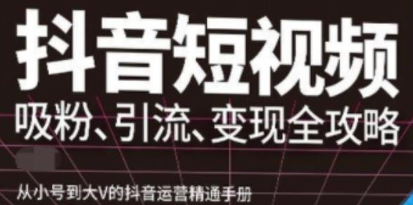 抖音视频号高级实操课程：从小号到大V的抖音运营精通手册（吸粉、引流、变现全攻略）-欢迎访问本站