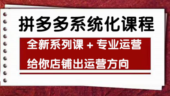 拼多多系统化课程，全新系列课+专业运营给你店铺出运营方向-欢迎访问本站