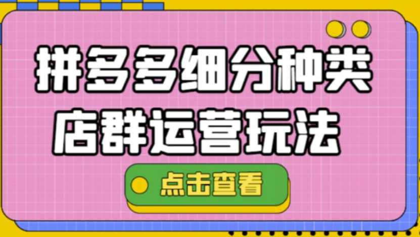 拼多多细分种类店群运营方案模式教程：最新玩法小白也可以操作-欢迎访问本站