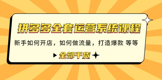 拼多多全套运营技巧方法课程：零基础如何开店做流量怎么打造爆款等全部干货-欢迎访问本站