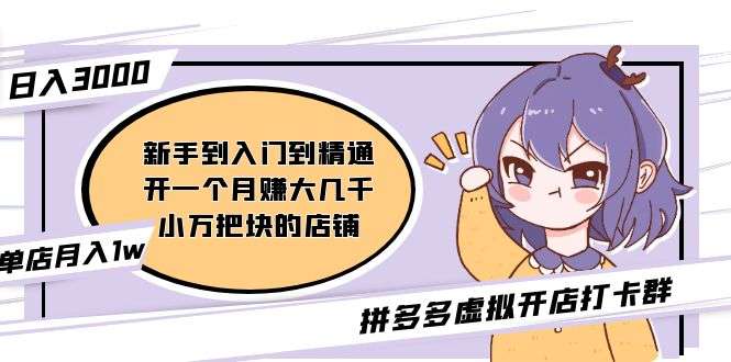 拼多多虚拟产品开店教程：入门到精通（昨日群里有小伙伴日入3000+）-欢迎访问本站