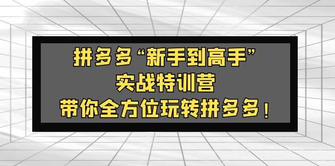 拼多多实战课程：带你零基础全方位玩转拼多多！【价值588】-欢迎访问本站