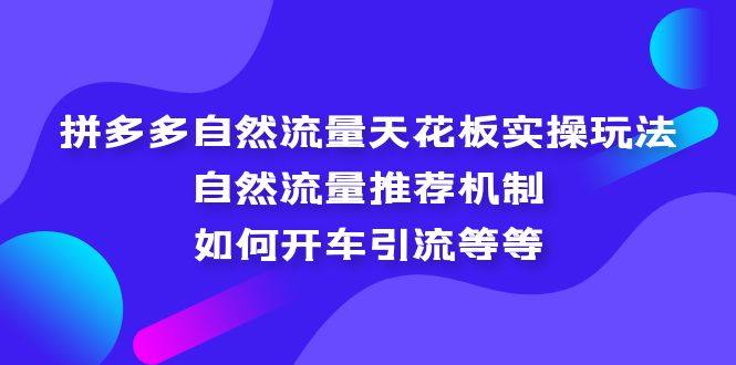 拼多多自然流量实操教程:自然流量推荐机制,如何开车引流等等-欢迎访问本站