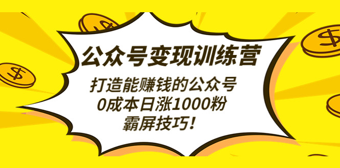 公众号变现渠道和推广方式：打造能赚钱的公众号，0成本日涨1000粉，霸屏技巧-欢迎访问本站