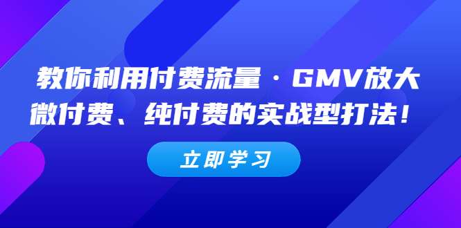网络付费推广教学课程，利用付费流量·GMV放大，微付费、纯付费的实战型打法！-欢迎访问本站
