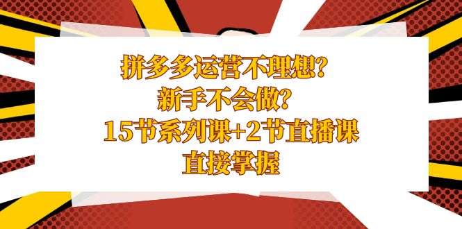 拼多多新手入门运营课程【15节系列课】-欢迎访问本站