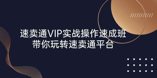速卖通 VIP实战操作课程-带你玩转速卖通平台（23节）-欢迎访问本站