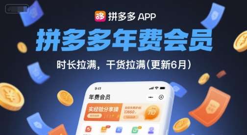 拼多多稳定盈利系列课程，时长+干货拉满【最新】-欢迎访问本站