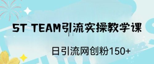 ST TEAM引流实操教程，日引流网创粉100+-欢迎访问本站