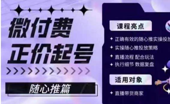 抖音随心推投放技巧课程-教你正确有效的随心推实操投放-欢迎访问本站