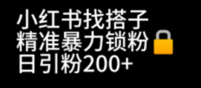 小红书引流新玩法：通过找搭子精准锁粉日引精准粉200+-欢迎访问本站