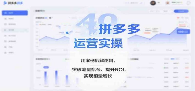 拼多多运营实操课程，选品运营定价销量售后全套讲解，26突破流量瓶颈-欢迎访问本站