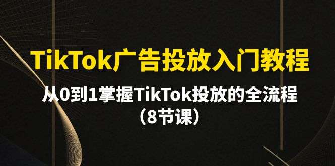 TikTok广告投放入门教程，掌握TikTok投放的全流程（8节课）-欢迎访问本站