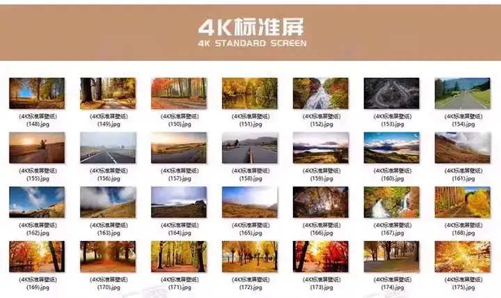 图片[5]-6000张超高清桌面壁纸4K唯美动漫风景宇宙夜幕背景影楼图片素材库【电商热销549】-暗冰资源网