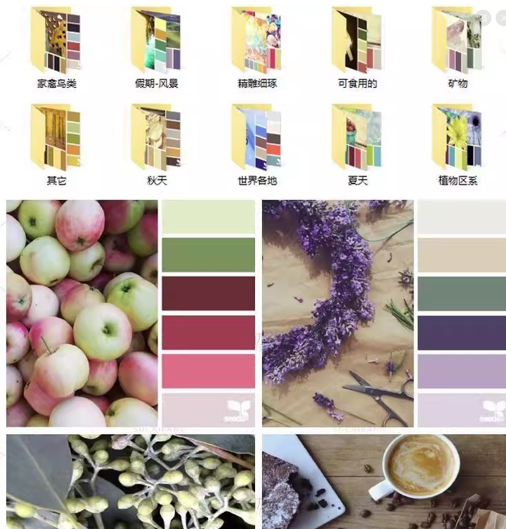 图片[3]-5600款设计排版配色方案【附教程】-PS设计颜色搭配色卡实物色彩搭配【电商热销841】-暗冰资源网
