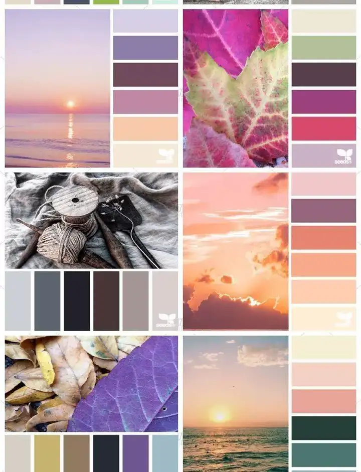 图片[4]-5600款设计排版配色方案【附教程】-PS设计颜色搭配色卡实物色彩搭配【电商热销841】-暗冰资源网