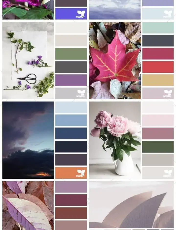 图片[6]-5600款设计排版配色方案【附教程】-PS设计颜色搭配色卡实物色彩搭配【电商热销841】-暗冰资源网