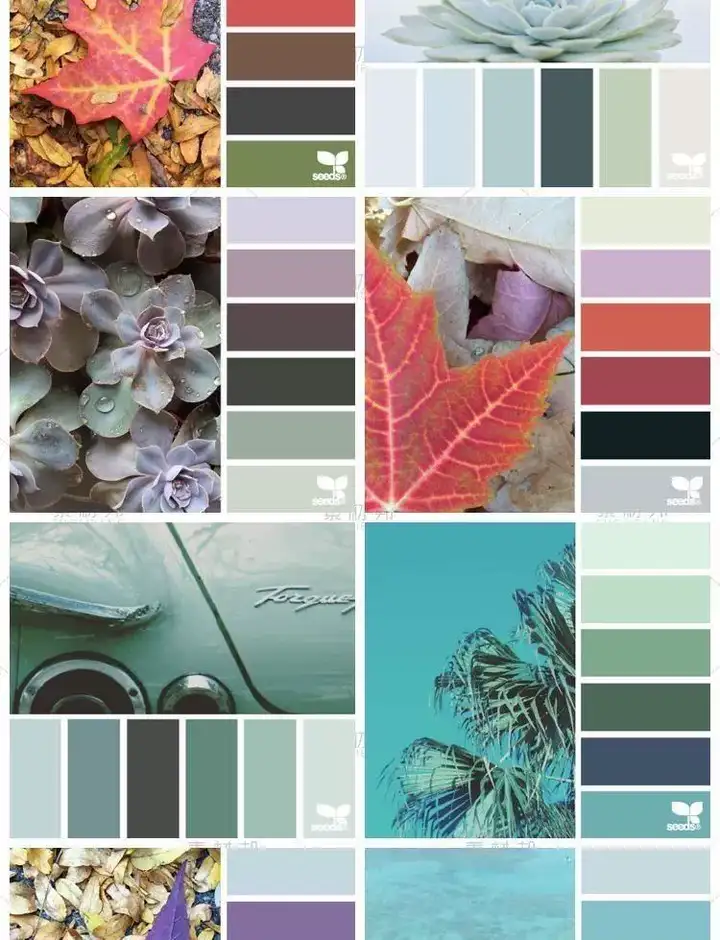 图片[8]-5600款设计排版配色方案【附教程】-PS设计颜色搭配色卡实物色彩搭配【电商热销841】-暗冰资源网