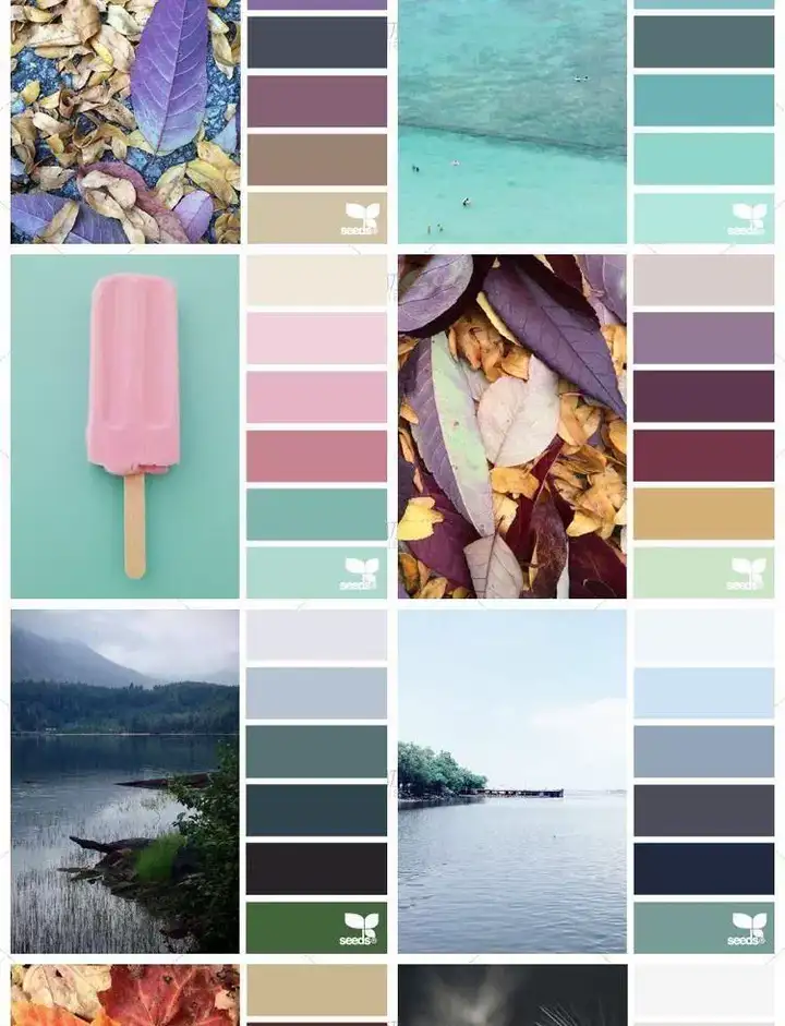 图片[9]-5600款设计排版配色方案【附教程】-PS设计颜色搭配色卡实物色彩搭配【电商热销841】-暗冰资源网