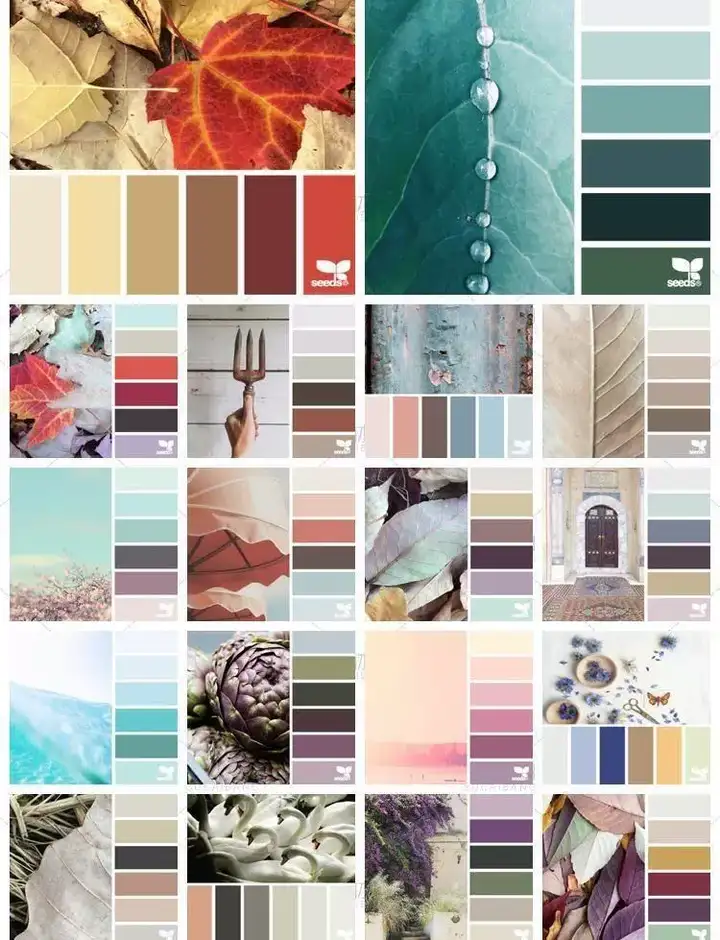 图片[10]-5600款设计排版配色方案【附教程】-PS设计颜色搭配色卡实物色彩搭配【电商热销841】-暗冰资源网