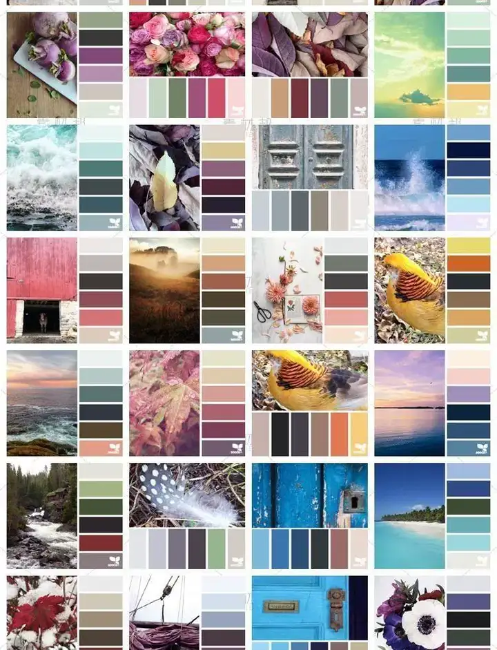 图片[11]-5600款设计排版配色方案【附教程】-PS设计颜色搭配色卡实物色彩搭配【电商热销841】-暗冰资源网