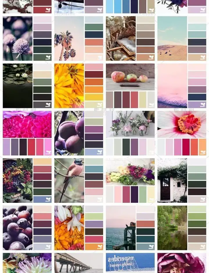 图片[12]-5600款设计排版配色方案【附教程】-PS设计颜色搭配色卡实物色彩搭配【电商热销841】-暗冰资源网