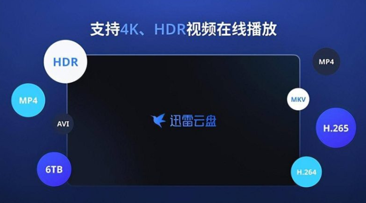 迅雷云盘TV版apk下载，支持原画播放与在线字幕匹配-欢迎访问本站