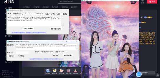 图片[2]-电脑版抖音/快手/B站直播源获取+直播间实时录制+直播转播【软件+教程】-暗冰资源网