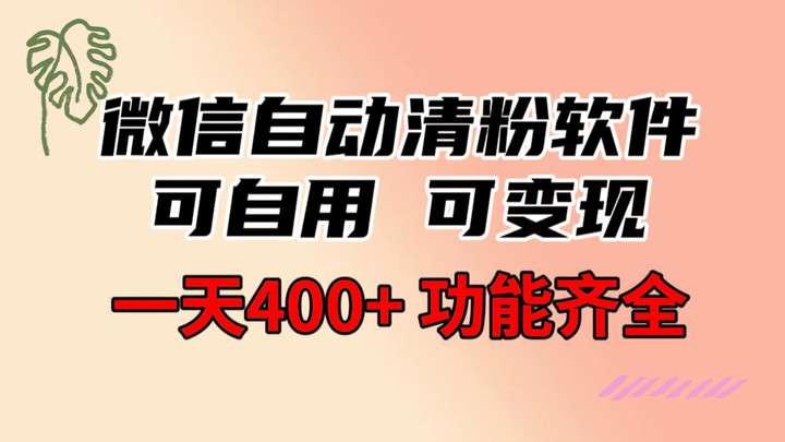 微信自动清粉软件【功能超强大】日入400+变现指南-欢迎访问本站