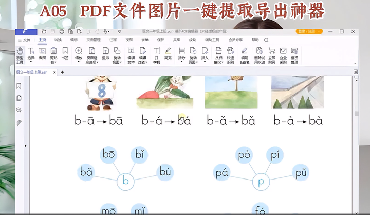 PDF文件图片一键批量提取导出神器【值得珍藏】-欢迎访问本站