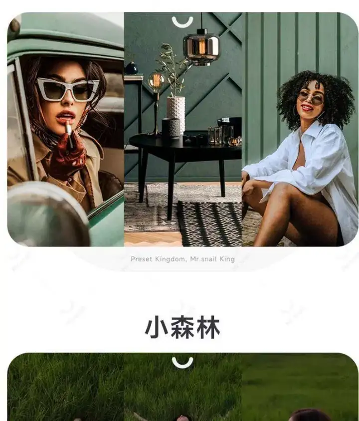 图片[9]-10000+LR高级人像滤镜插件预设PS城市艺术适用图片视频多软件套装【电商热销635】-暗冰资源网