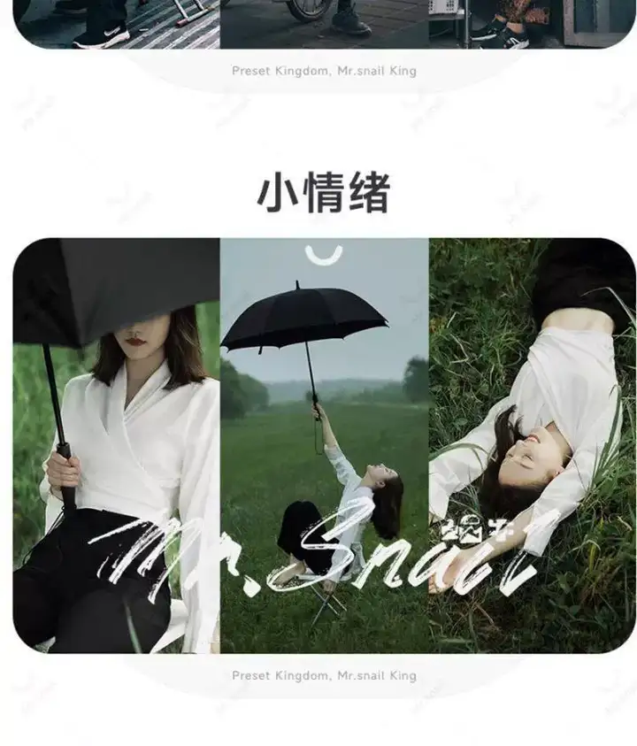 图片[13]-10000+LR高级人像滤镜插件预设PS城市艺术适用图片视频多软件套装【电商热销635】-暗冰资源网