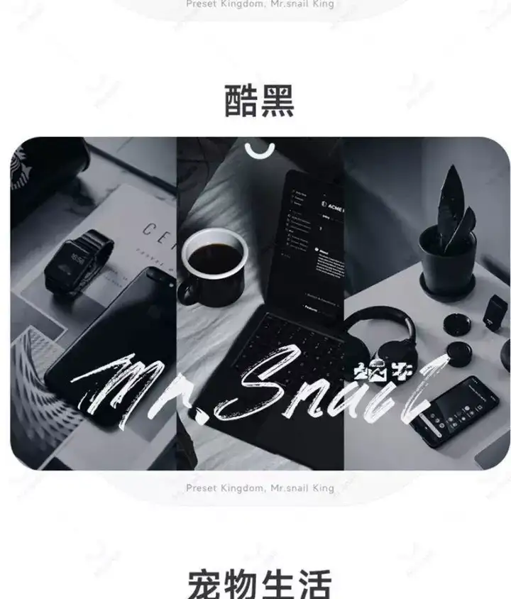 图片[18]-10000+LR高级人像滤镜插件预设PS城市艺术适用图片视频多软件套装【电商热销635】-暗冰资源网