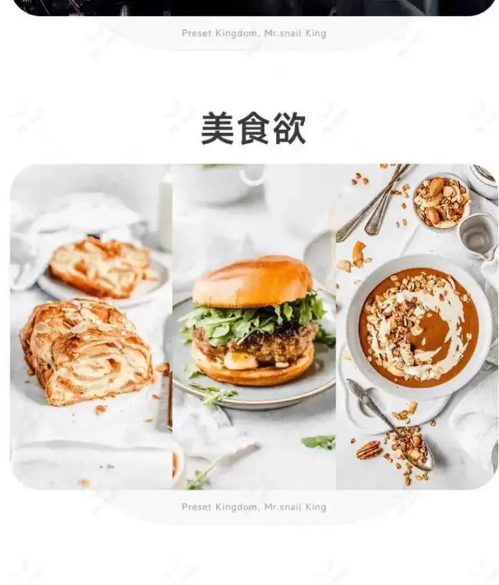 图片[20]-10000+LR高级人像滤镜插件预设PS城市艺术适用图片视频多软件套装【电商热销635】-暗冰资源网