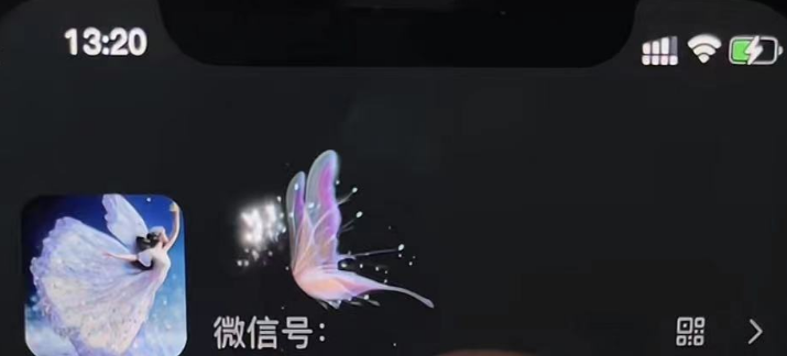 图片[3]-微信动态昵称设置方法教程，可抖音直播引流，日赚上百【详细视频教程+素材】-暗冰资源网