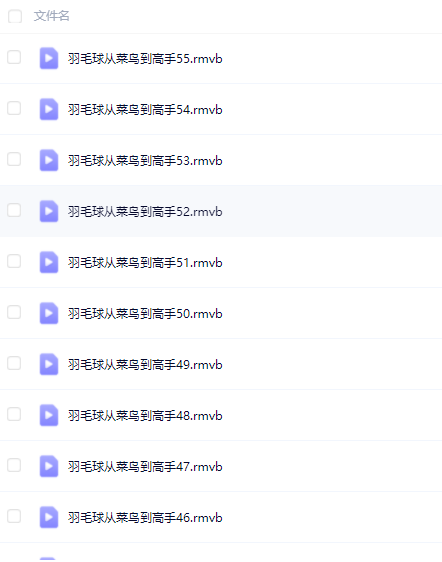 羽毛球从菜鸟到高手教学视频【全55集】-欢迎访问本站