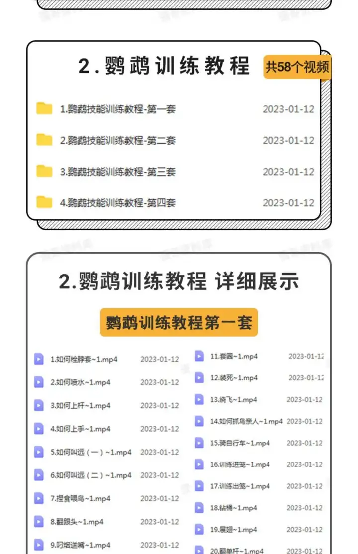 图片[3]-训鸟全套教程-鹦鹉虎皮杜丹玄凤训练教程上手训练鹦鹉说话【电商热销2】-暗冰资源网