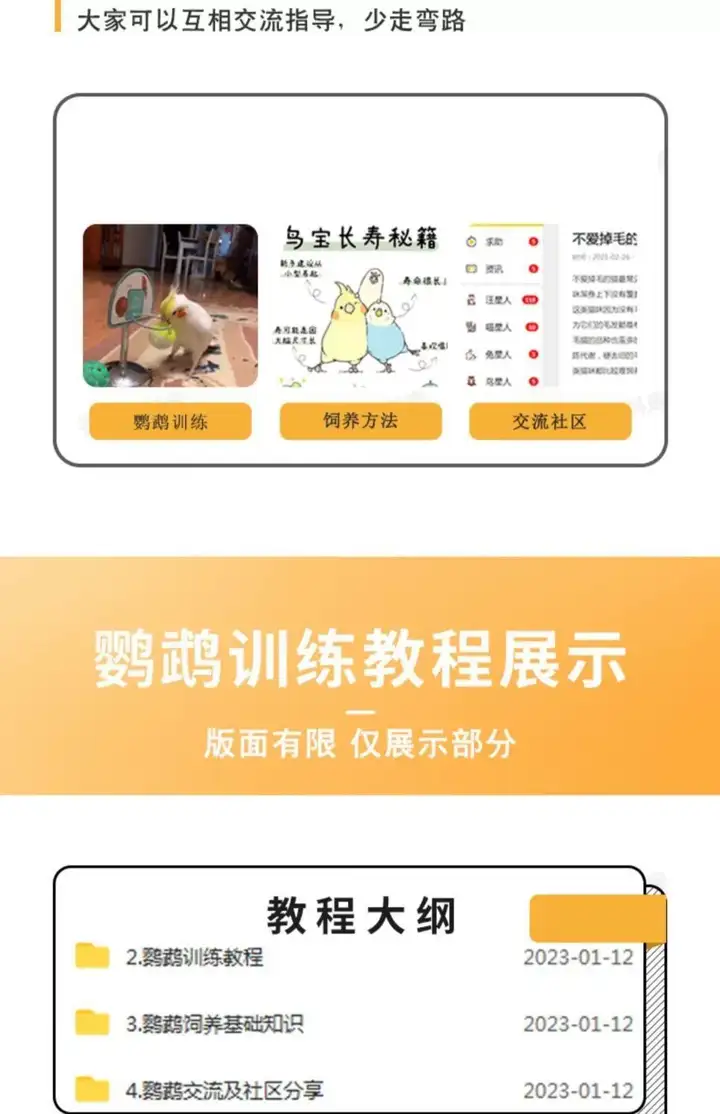 图片[4]-训鸟全套教程-鹦鹉虎皮杜丹玄凤训练教程上手训练鹦鹉说话【电商热销2】-暗冰资源网