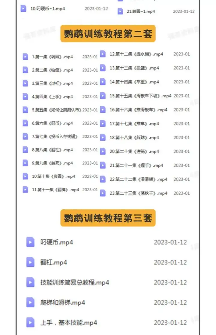 图片[5]-训鸟全套教程-鹦鹉虎皮杜丹玄凤训练教程上手训练鹦鹉说话【电商热销2】-暗冰资源网