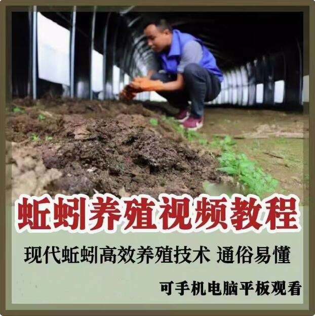 蚯蚓养殖技术视频教程素材零基础农业创业大棚如何养蚯蚓高效素材【电商热销569】-欢迎访问本站