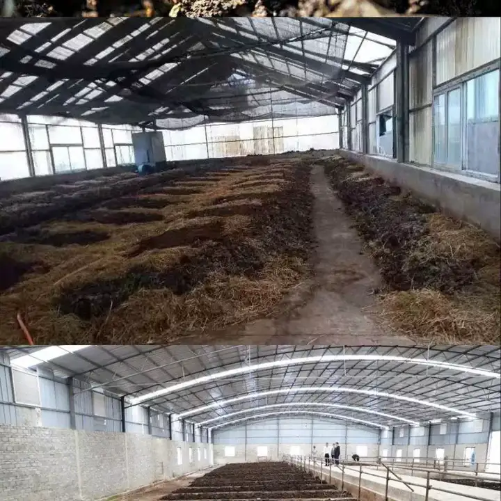 图片[4]-蚯蚓养殖技术视频教程素材零基础农业创业大棚如何养蚯蚓高效素材【电商热销569】-暗冰资源网