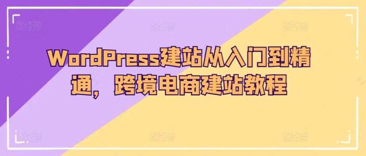 WORDPRESS从入门到精通建站教程，轻松打造跨境电商网站！-欢迎访问本站