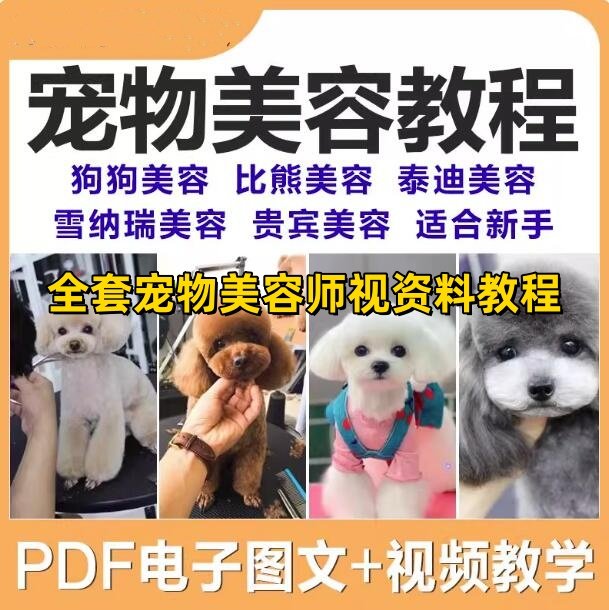 宠物美容教程-全套狗狗修剪修毛造型洗澡护理宠物师培训教学视频课程【电商热销997】-欢迎访问本站