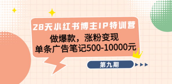 小红书涨粉变现教程，单条广告笔记收益500-10000-欢迎访问本站