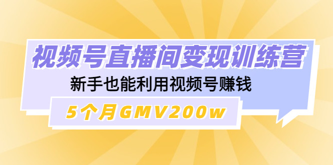 视频号直播间变现教程：新手也能利用视频号赚钱，5个月GMV200w-欢迎访问本站